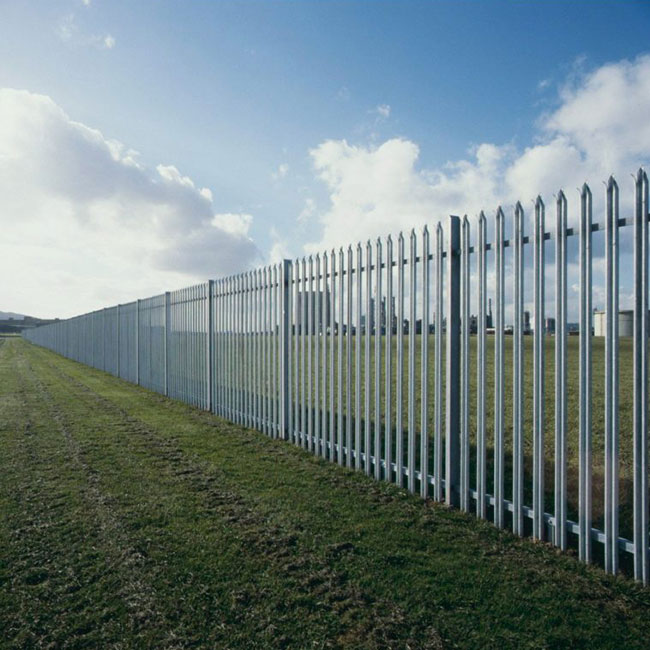 Palisade አጥር ምንድን ነው?